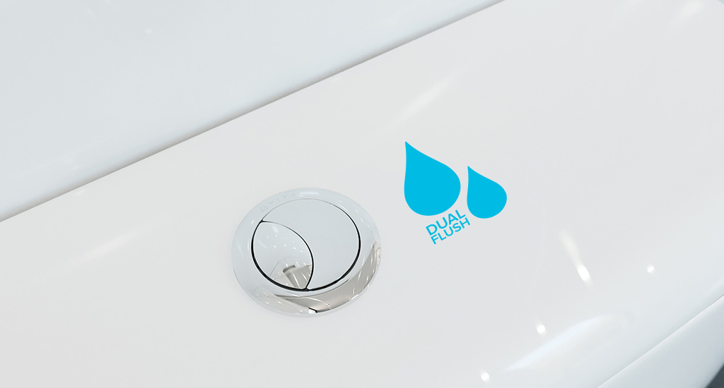 What is Dual Flush?