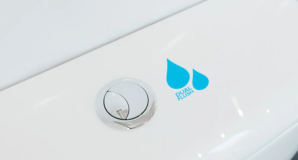 What is Dual Flush?