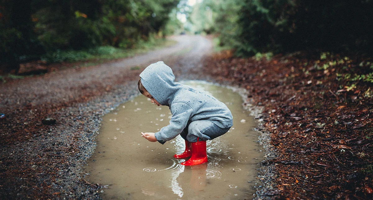 Save Water With A Skylo Dual Flush Height Adjustable Syphon